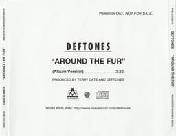 Around the Fur