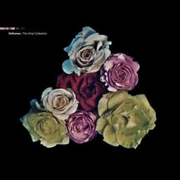 The Vinyl Collection 1995-2011